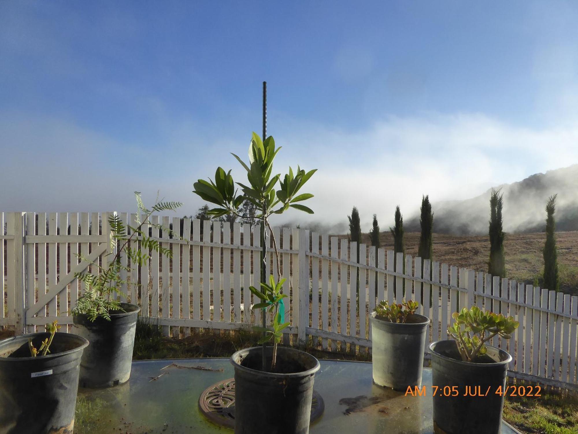 Mansion On The Hill Let 4 Rooms, 5Th Cost Extra Sage ภายนอก รูปภาพ